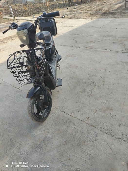 Skuter oʻrtacha holda