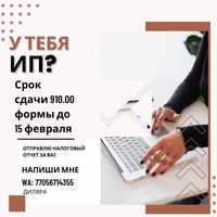 Сдам Ваши налоговые отчеты (910.00, 911.00, 250.00, 270.00 формы)