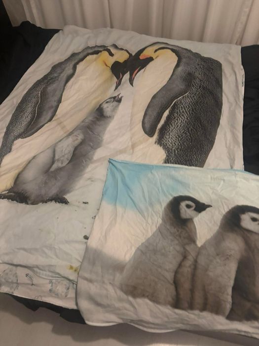 Lenjerii cu pinguini sinsay