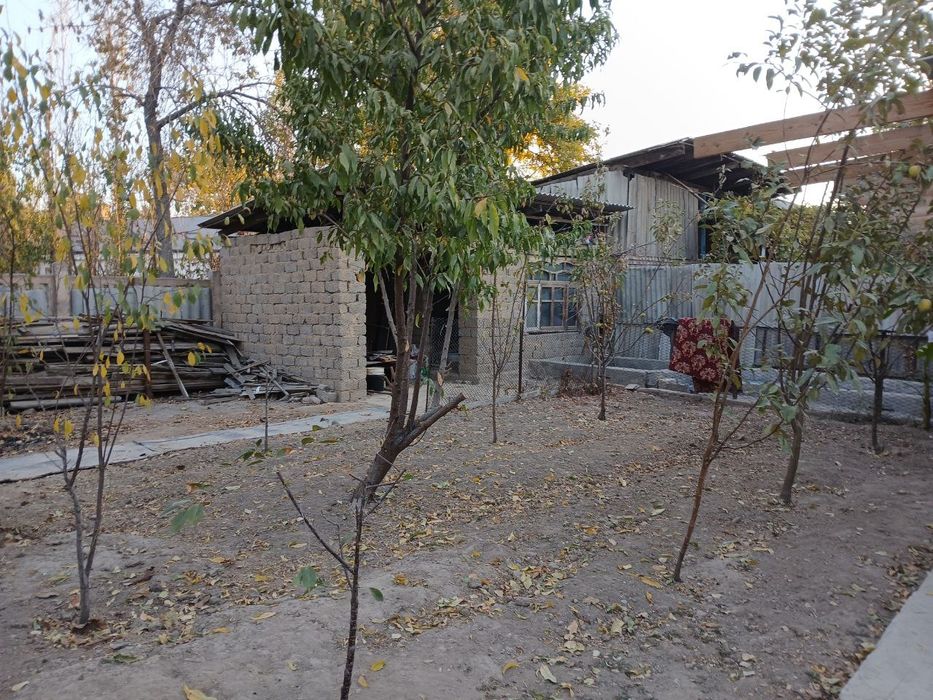 Олмалик шахар Суфиоллоер махалласи Тотувлик 18 1кучаси