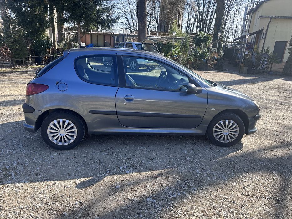 Peugeot      206