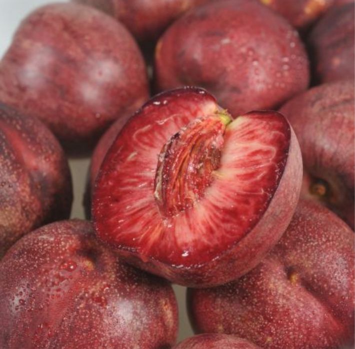 Nectarin sanguine soiri premium