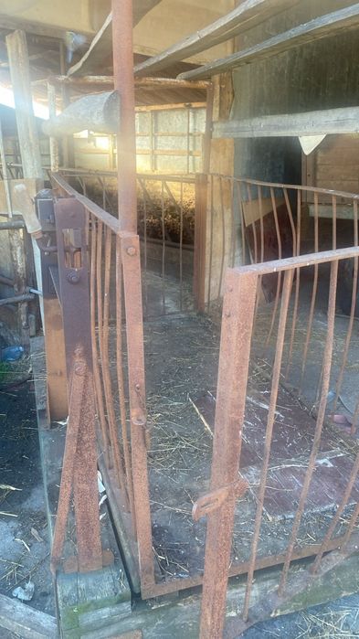 Cantar pentru cantarit animale