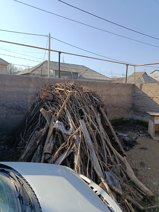 Отын сатылады !!!  Дрова Продается  !!!