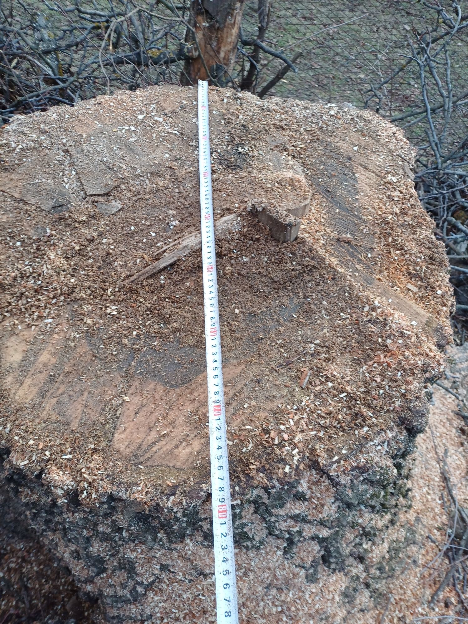 Tulpina Nuc. Tamplarie