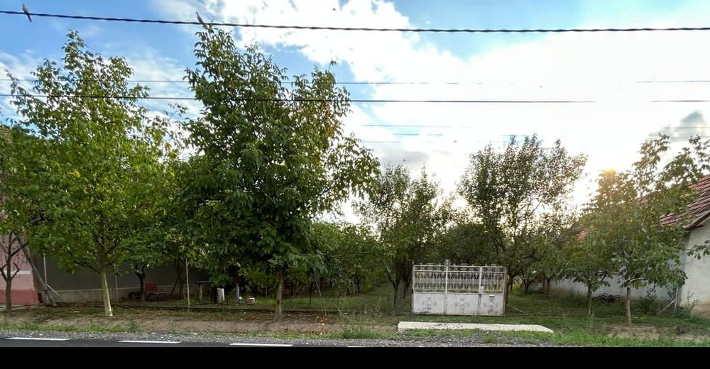 Vand livada sau loc de casa.