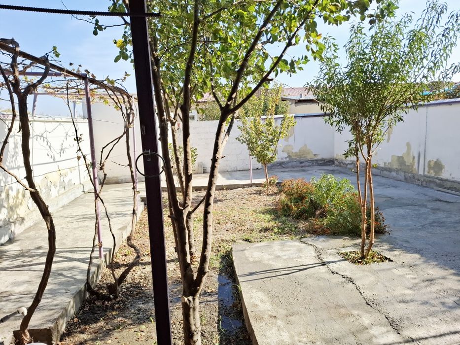 Kotej sotiladi. 2,5 sotix. Uglovoy joyda., Qiziltepa Gumbaz mahalla