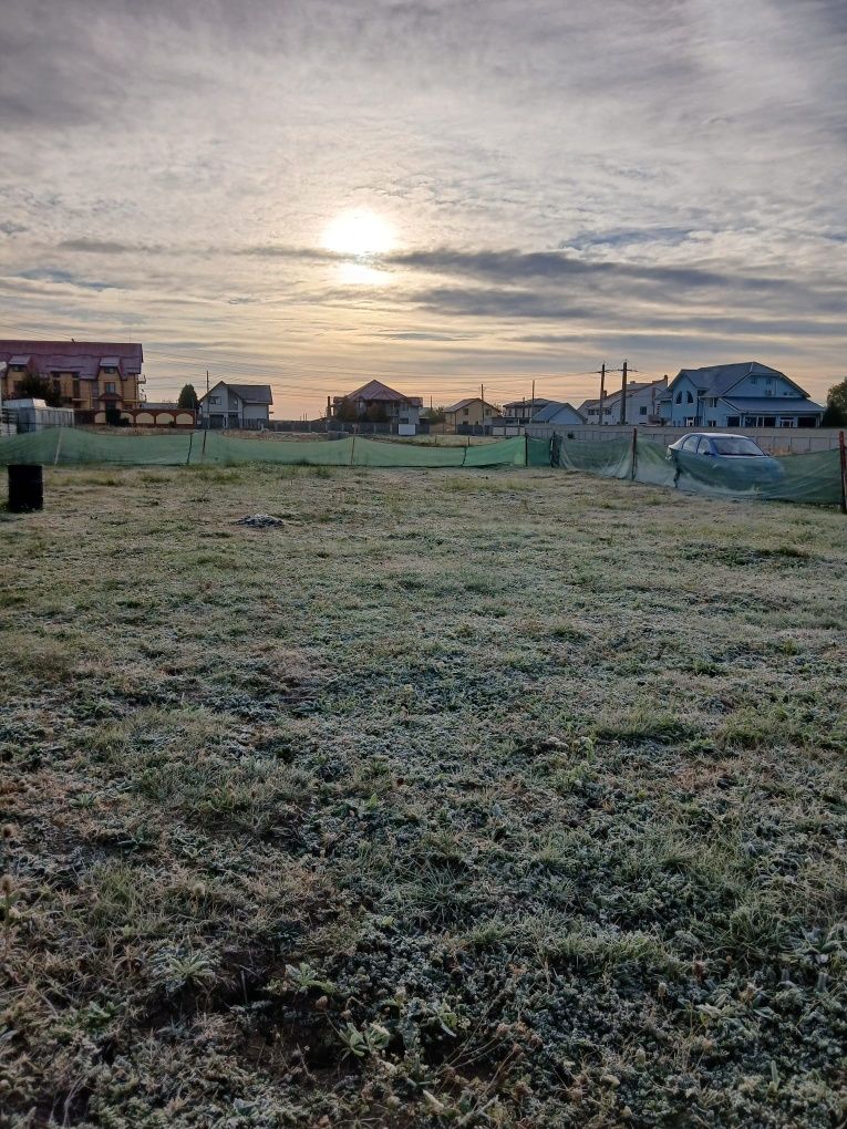 Teren de vânzare Viforata 730 m²