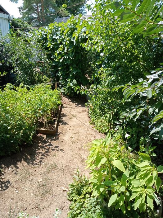 Продам шлакобитонный дом гмз частный сектор