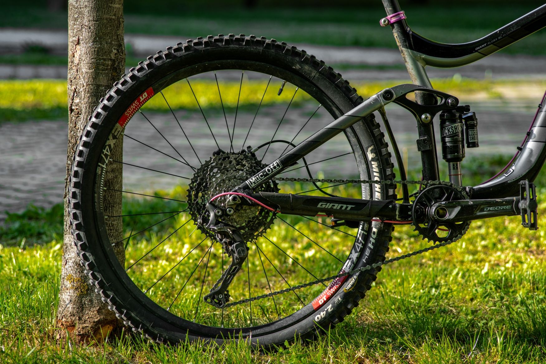 Enduro Giant Reign 27.5