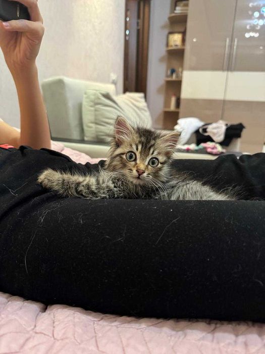 Красивейший пацанчик ищет любящую семью