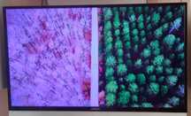 Телевизор FINLUX 50" Ultra HD smart LED