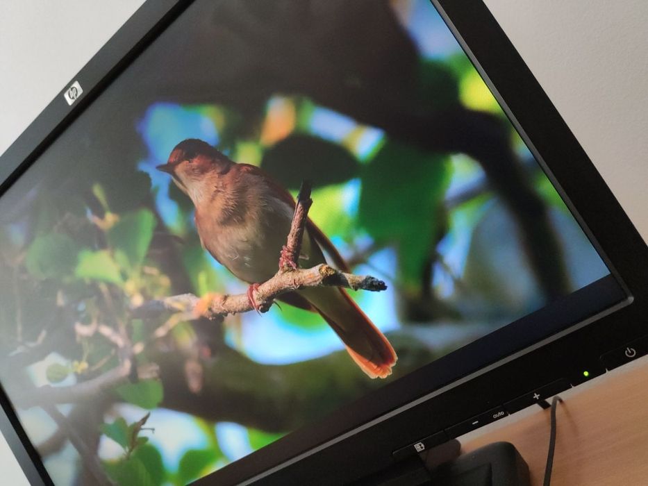 Компютър HP Pro 3400 MT i5 2500K / 8GB ram / 250gb hdd + Монитор HP 19