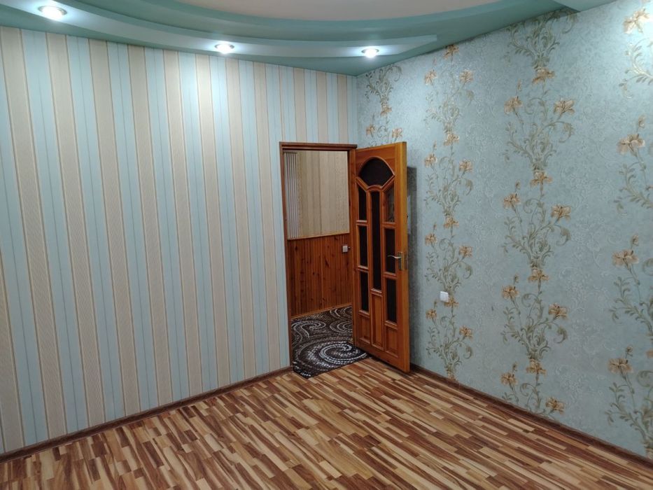 массив куйлюк 5