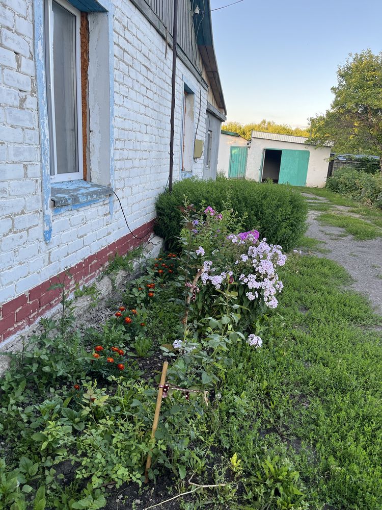 Продам дом с Чапаево