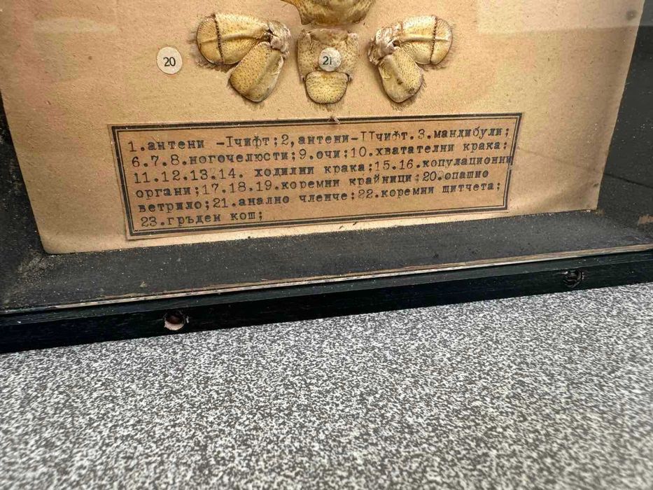 Соц Учебен Модел на Рак Разчленен Учтехпром