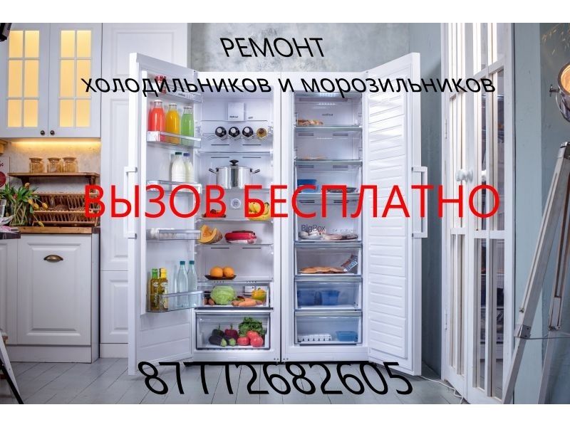 Ремонт холодильников  морозилок,стиральных машин.