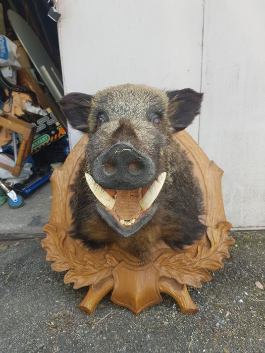 Vand mistret impaiat