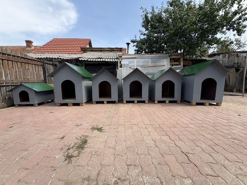 Cusca pentru caini talie medie si mare.