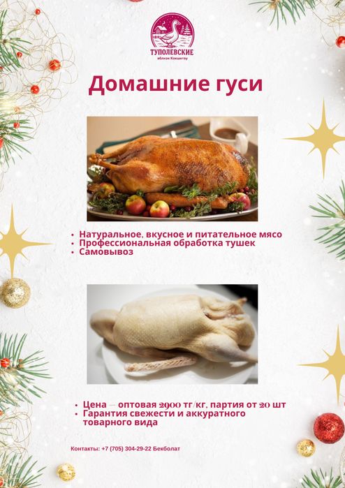 Гуси домашние (оптом от 10 шт)