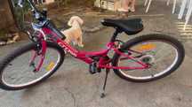 Bicicleta Cross Alissa