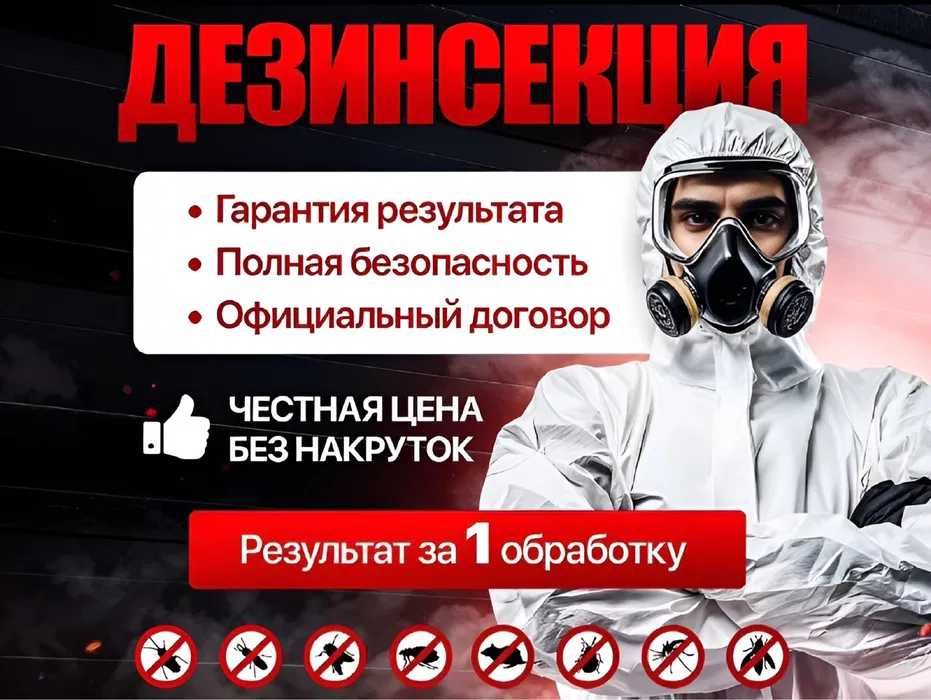 Dezinfeksiya klopa klapa tarakan Уничтожение тараканов, клопов и мышей