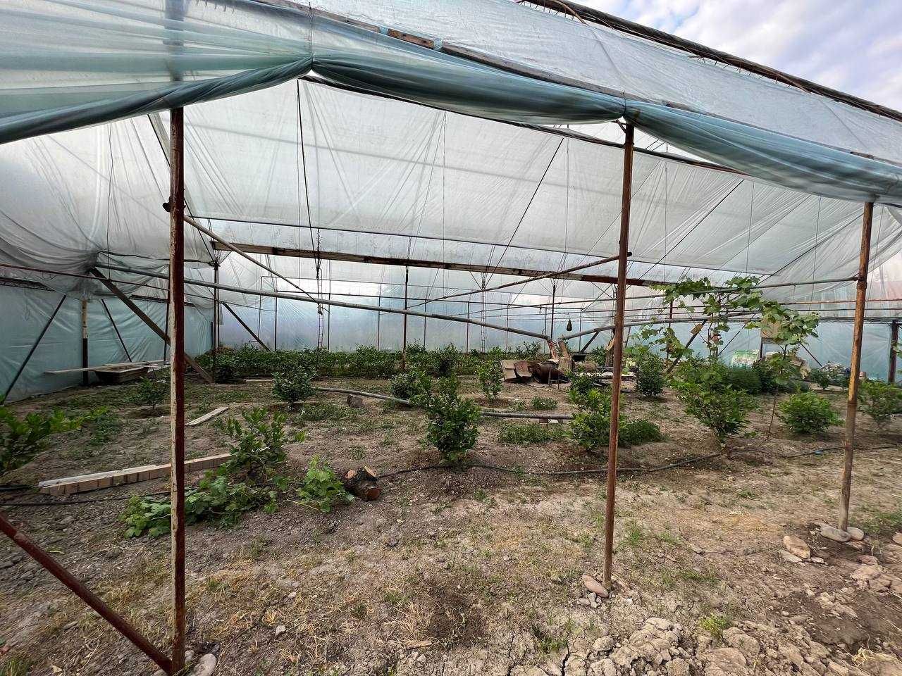 FOOD CITY и Катта Куйлик бозори ёнида махаллада уй сотилади, срочный