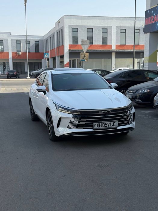 BYD CHAZOR 120 tali comfort