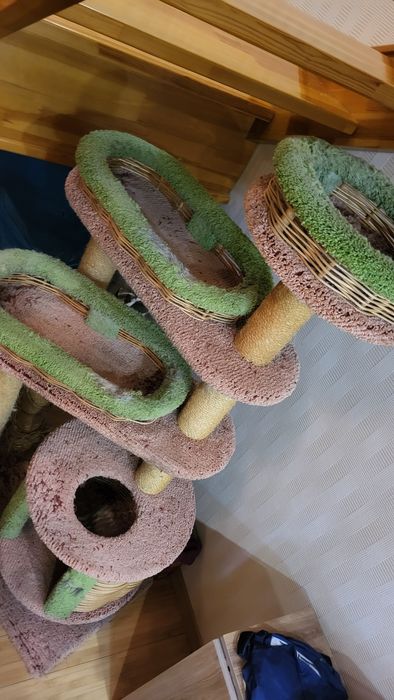 Аксессуары для кошек и котят.