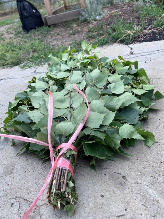 Продам веники для бани берёзовые