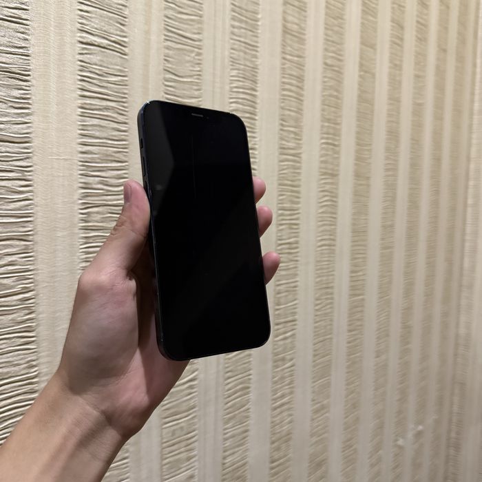iphone 12 black + bonus lar