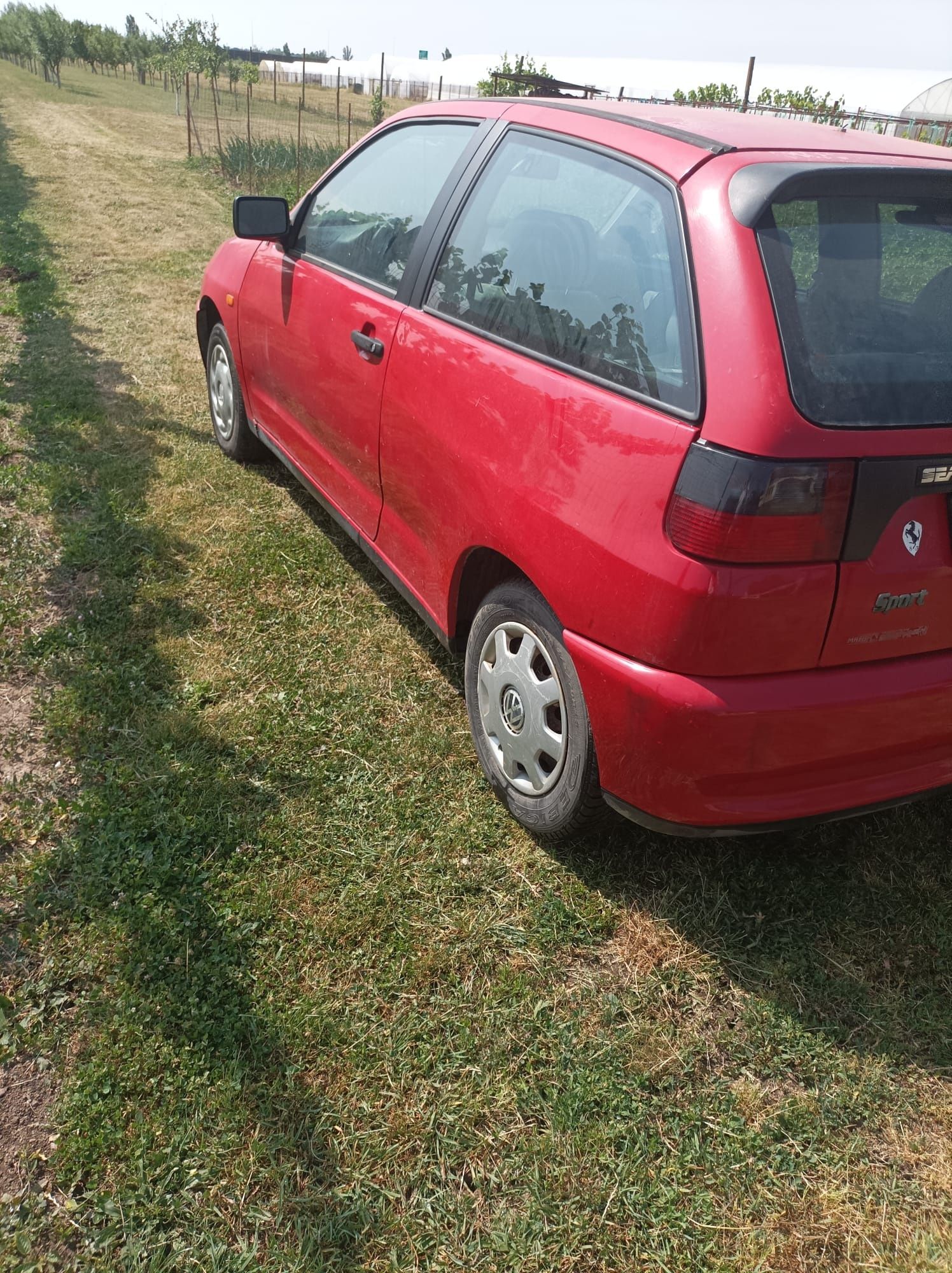 Seat Ibiza benzina
