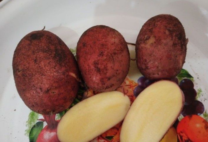 Картошку продам крупную ,домашнюю,