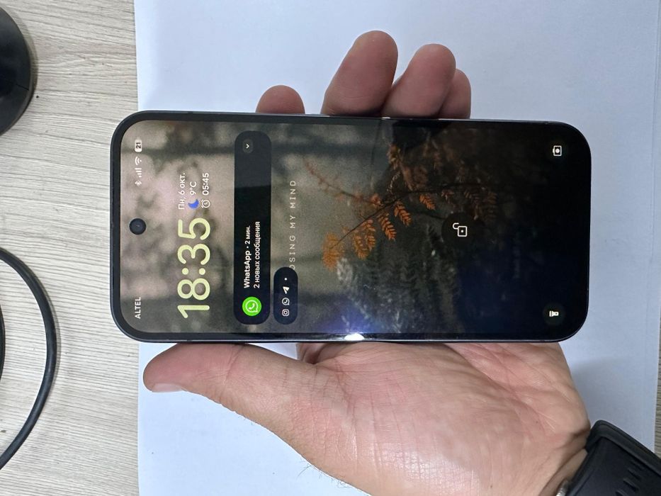 Google pixel 9 (пиксель 9)