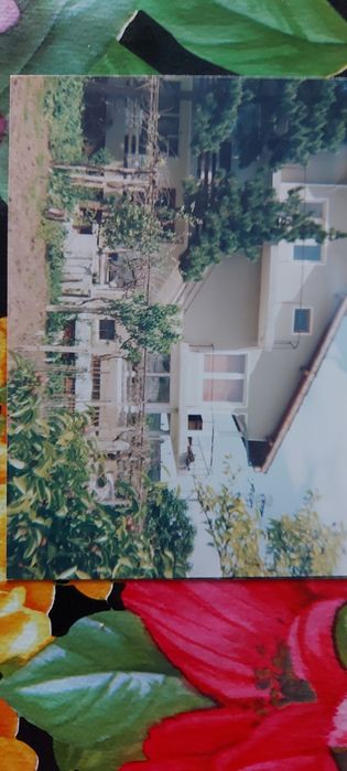 Продава се Къща в с. Ковачевец, Област Търговище - 120 кв.м за 85 €/кв.м - Снимка #1