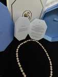 Set angelic swarosvki rose gold