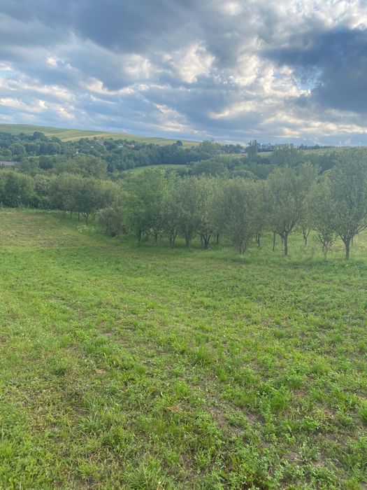 TEREN intravilan de vanzare 4500mp Sat.COMSESTI JUD.CLUJ