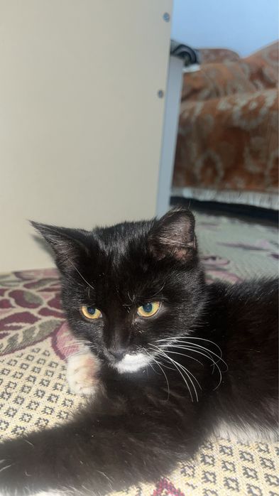 Жаксы карайтын адамга берем