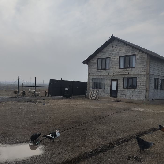 Дом твоей мечты и твоей половинки