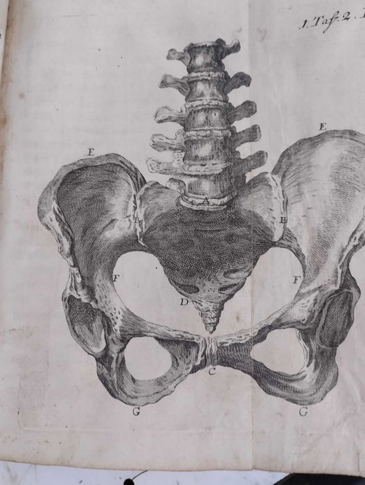 Carte veche de medicina (obstretica)