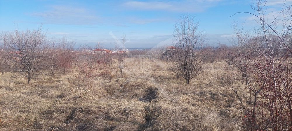 Парцел в с. Белащица 38613