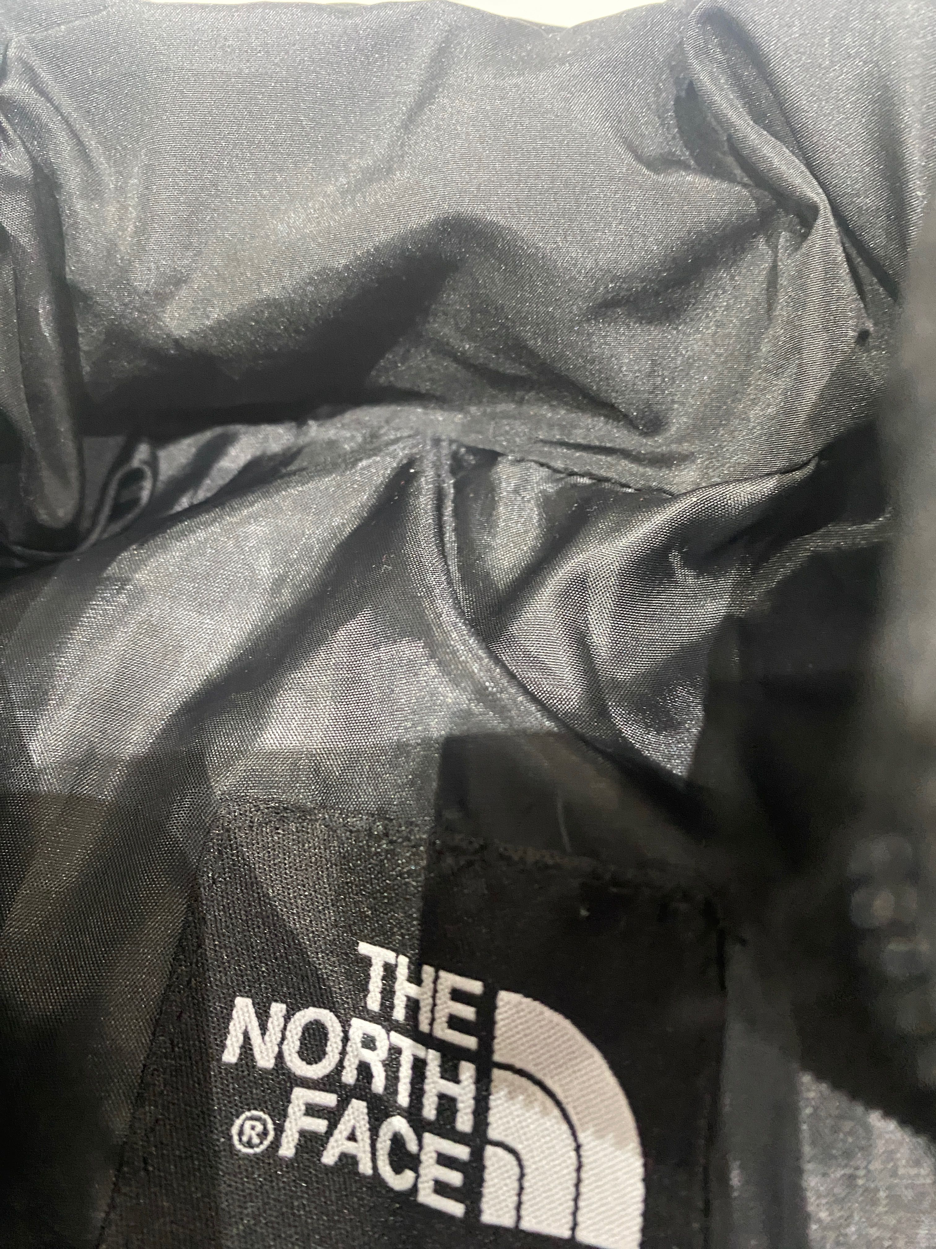 Geaca The North Face