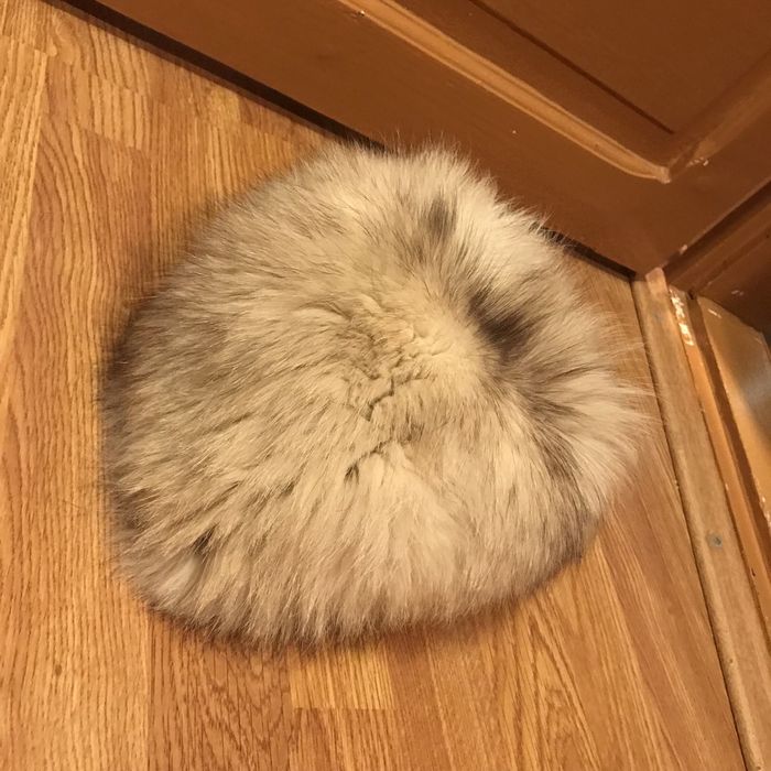 Caciula blana naturala calduroasa doamna par natural alba