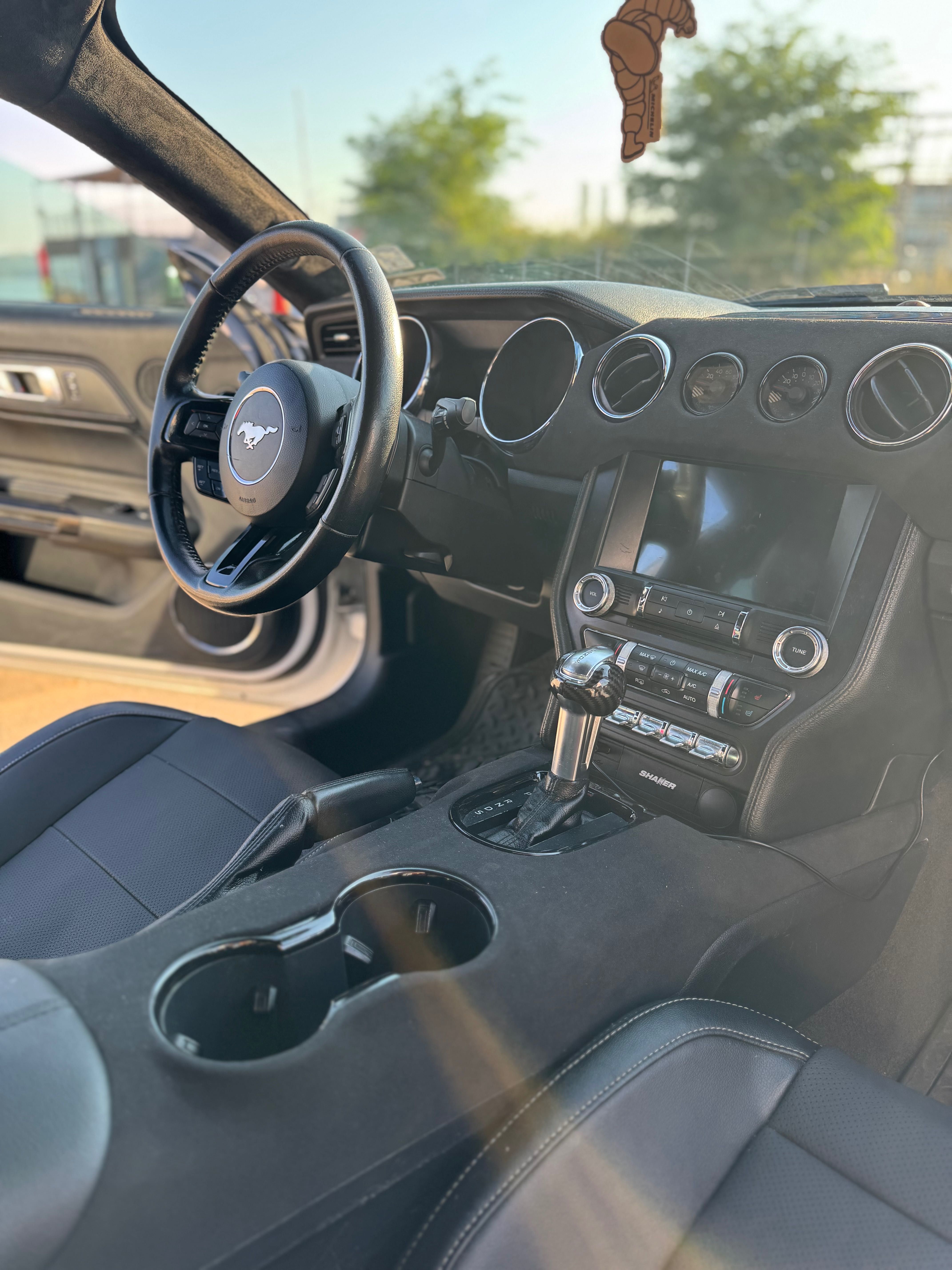 Ford Mustang S550 2.3L Turbo - Premium and Performance packages