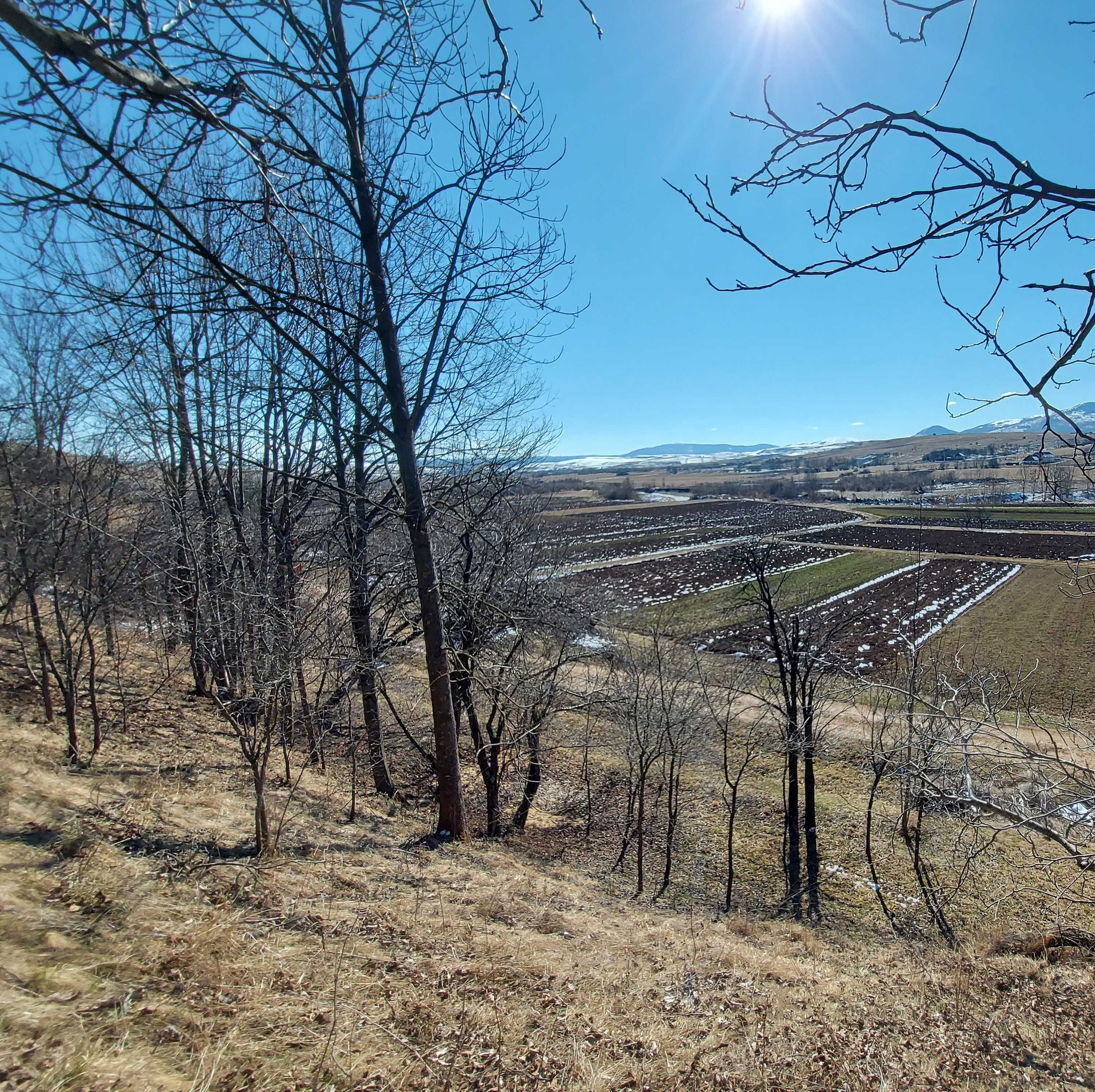 Vând teren intravilan în Sâncraiu, Cluj