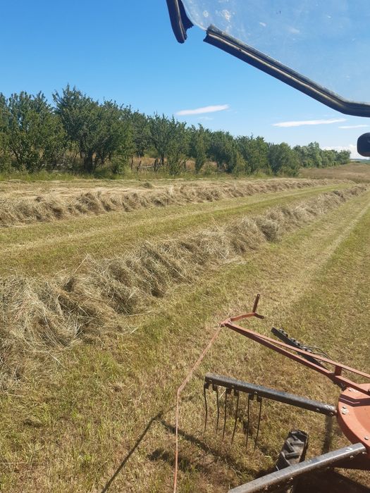 Baloti lucerna,fan si otava