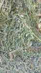 Baloti:Lucerna.Trifoi.Fan.Lolium.Rotunzi min 40.Drept.500.Trans.inclus