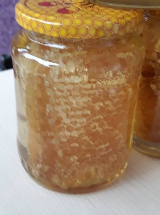 Faguri cu miere - miere in faguri en-gros si en-detail