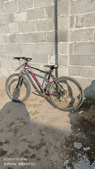 katta velik 3ta aybi bor