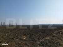 Teren 10000mp, 38ml deschidere, Berceni